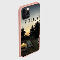 Чехол для iPhone 12 Pro Max СТАЛКЕР 1, цвет: 3D-светло-розовый — фото 2