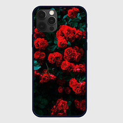 Чехол для iPhone 12 Pro Max Розы, цвет: 3D-черный