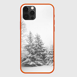 Чехол для iPhone 12 Pro Max Winter Storm, цвет: 3D-красный