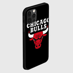 Чехол для iPhone 12 Pro Max CHICAGO BULLS, цвет: 3D-черный — фото 2