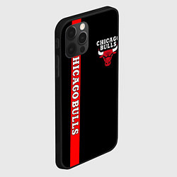 Чехол для iPhone 12 Pro Max CHICAGO BULLS, цвет: 3D-черный — фото 2