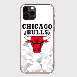 Чехол для iPhone 12 Pro Max CHICAGO BULLS, цвет: 3D-светло-розовый