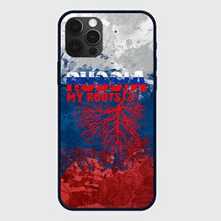 Чехол для iPhone 12 Pro Max Russia my roots, цвет: 3D-черный