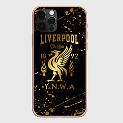 Чехол для iPhone 12 Pro Max LIVERPOOL ЛИВЕРПУЛЬ, цвет: 3D-светло-розовый