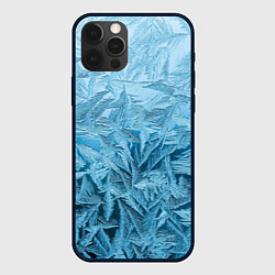 Чехол для iPhone 12 Pro Max Иней, цвет: 3D-черный