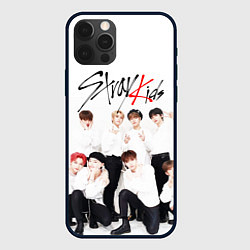 Чехол для iPhone 12 Pro Max STRAY KIDS, цвет: 3D-черный