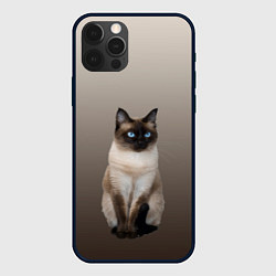 Чехол для iPhone 12 Pro Max Сиамский кот голубые глаза, цвет: 3D-черный