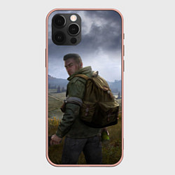 Чехол для iPhone 12 Pro Max DAYZ POSTER ДЕЙЗИ ПОСТЕР Z, цвет: 3D-светло-розовый