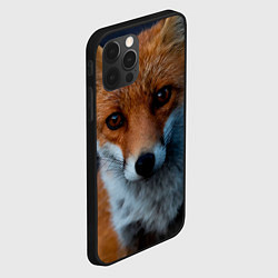 Чехол для iPhone 12 Pro Max Мудрая лиса, цвет: 3D-черный — фото 2