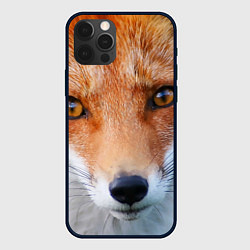 Чехол для iPhone 12 Pro Max Крупно мордочка лисы, цвет: 3D-черный