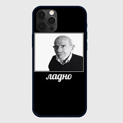 Чехол iPhone 12 Pro Max Ладно