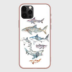 Чехол для iPhone 12 Pro Max Акулы, цвет: 3D-светло-розовый