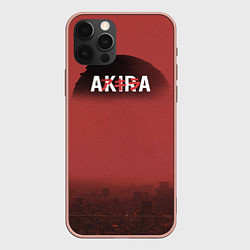 Чехол для iPhone 12 Pro Max Акира, цвет: 3D-светло-розовый