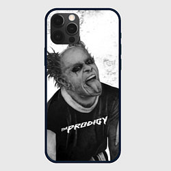 Чехол для iPhone 12 Pro Max THE PRODIGY ПРОДИДЖИ Z, цвет: 3D-черный