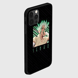 Чехол для iPhone 12 Pro Max Сенку Ишигами в квадрате, цвет: 3D-черный — фото 2