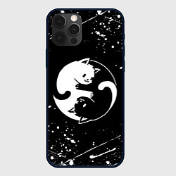 Чехол для iPhone 12 Pro Max ИНЬ ЯНЬ КОТИКИ БРЫЗГИ И НИЧЕГО ЛИШНЕГО, цвет: 3D-черный
