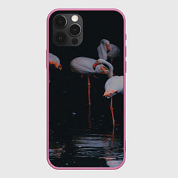 Чехол iPhone 12 Pro Max Фламинго - вода