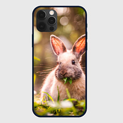 Чехол для iPhone 12 Pro Max Милый кролик, цвет: 3D-черный
