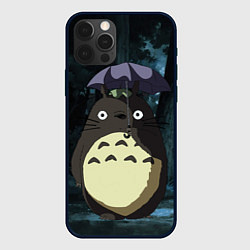 Чехол для iPhone 12 Pro Max Totoro in rain forest, цвет: 3D-черный