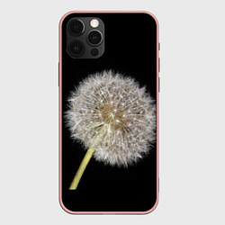 Чехол для iPhone 12 Pro Max Одуванчик на черном фоне, цвет: 3D-светло-розовый
