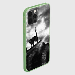 Чехол для iPhone 12 Pro Max Halloween - чёрный кот на ведьмином доме, цвет: 3D-салатовый — фото 2