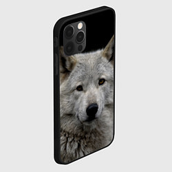 Чехол для iPhone 12 Pro Max Серый волк на темном фоне, цвет: 3D-черный — фото 2