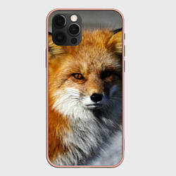 Чехол для iPhone 12 Pro Max Лиc, цвет: 3D-светло-розовый