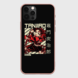 Чехол для iPhone 12 Pro Max Танджиро Камадо: Клинок, рассекающий демонов, цвет: 3D-светло-розовый