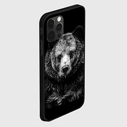 Чехол для iPhone 12 Pro Max Медведь тотем славян, цвет: 3D-черный — фото 2
