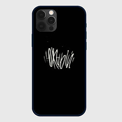 Чехол для iPhone 12 Pro Max Южный, цвет: 3D-черный