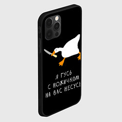 Чехол для iPhone 12 Pro Max Гусь несется на вас, цвет: 3D-черный — фото 2