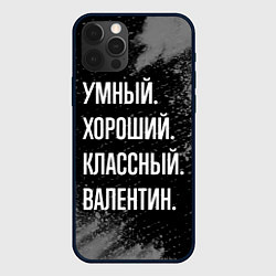 Чехол для iPhone 12 Pro Max Умный хороший классный: Валентин, цвет: 3D-черный