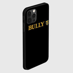 Чехол для iPhone 12 Pro Max Bully rockstar, цвет: 3D-черный — фото 2