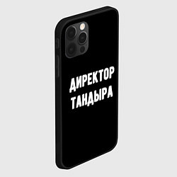 Чехол для iPhone 12 Pro Max Директор тандыра, цвет: 3D-черный — фото 2
