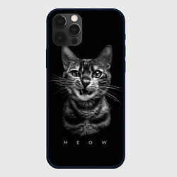 Чехол для iPhone 12 Pro Max Cat meow black and white - big picture, цвет: 3D-черный