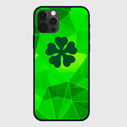 Чехол для iPhone 12 Pro Max Black Clover green poly, цвет: 3D-черный