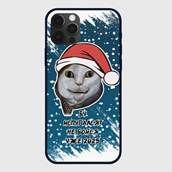 Чехол для iPhone 12 Pro Max Бу испугался - 2025 не бойся, цвет: 3D-черный