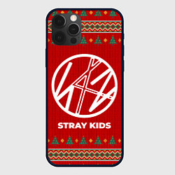Чехол для iPhone 12 Pro Max Stray Kids new year, цвет: 3D-черный