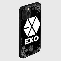 Чехол для iPhone 12 Pro Max Снежный Exo, цвет: 3D-черный — фото 2