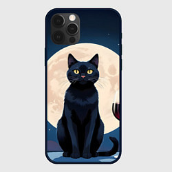Чехол для iPhone 12 Pro Max Кот с вином под луной, цвет: 3D-черный