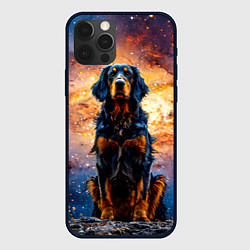 Чехол для iPhone 12 Pro Max Сеттер в космосе, цвет: 3D-черный