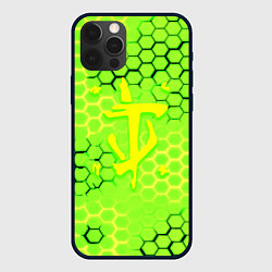 Чехол для iPhone 12 Pro Max Doom кислотные соты лого, цвет: 3D-черный
