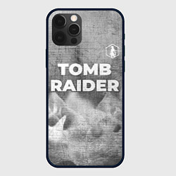 Чехол для iPhone 12 Pro Max Tomb Raider - grey gradient посередине, цвет: 3D-черный