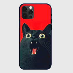 Чехол для iPhone 12 Pro Max Котик в шоке, цвет: 3D-черный