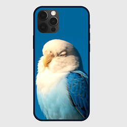 Чехол для iPhone 12 Pro Max Волнистый попугай - синий, цвет: 3D-черный