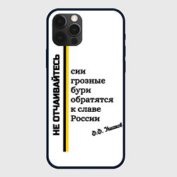 Чехол для iPhone 12 Pro Max Бури обратятся к славе России Ушаков черно-желтый, цвет: 3D-черный