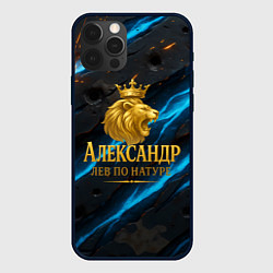 Чехол для iPhone 12 Pro Max Александр лев по натуре, цвет: 3D-черный