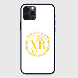 Чехол для iPhone 12 Pro Max Христос воскресе желтый арт, цвет: 3D-черный