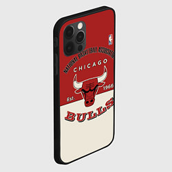 Чехол для iPhone 12 Pro Max NBA Bulls Vintage, цвет: 3D-черный — фото 2