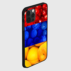 Чехол для iPhone 12 Pro Max Флаг Армении, цвет: 3D-черный — фото 2